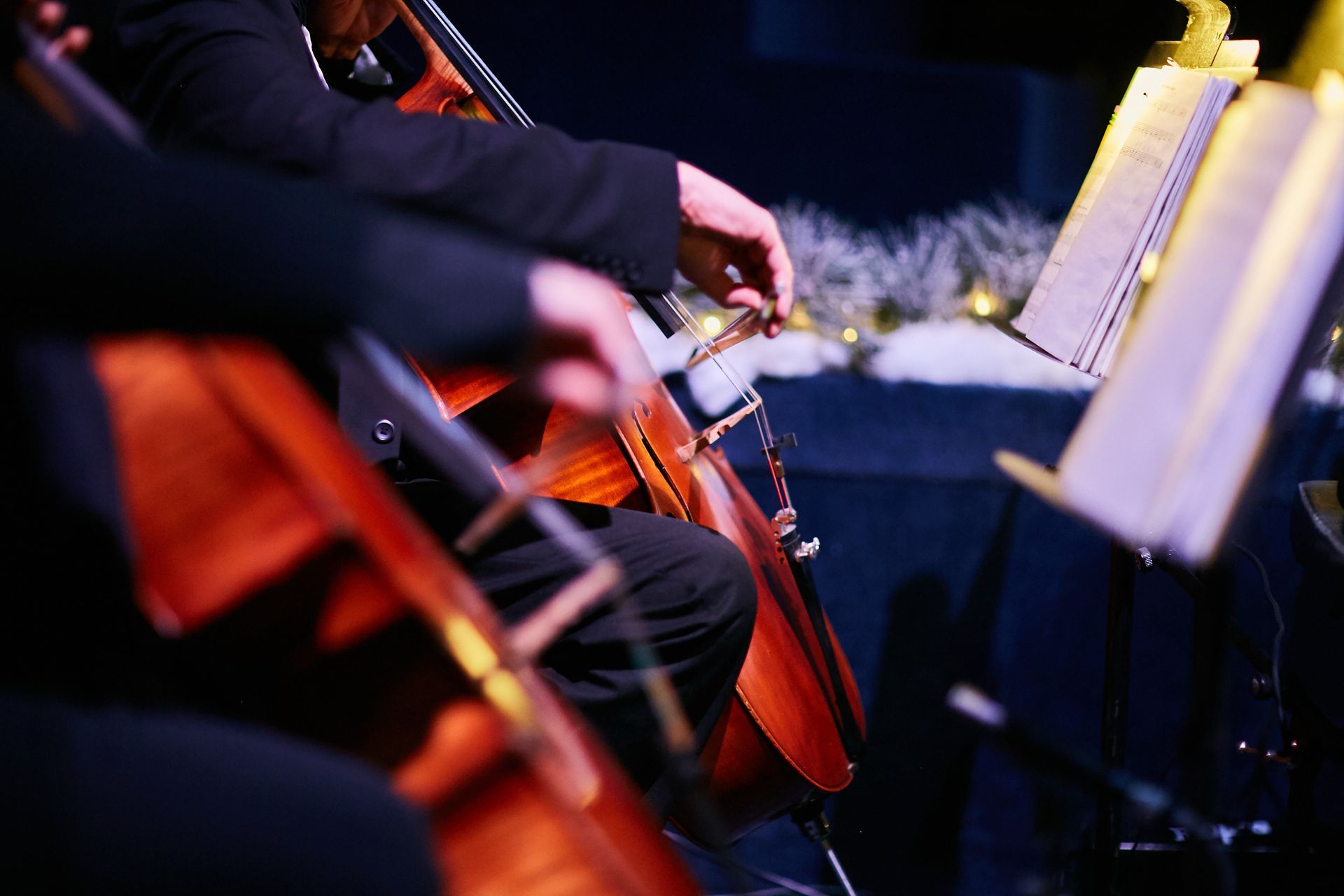 Cellists playing instruments in an orchestra, illuminated, with music stands and focused on performance.
