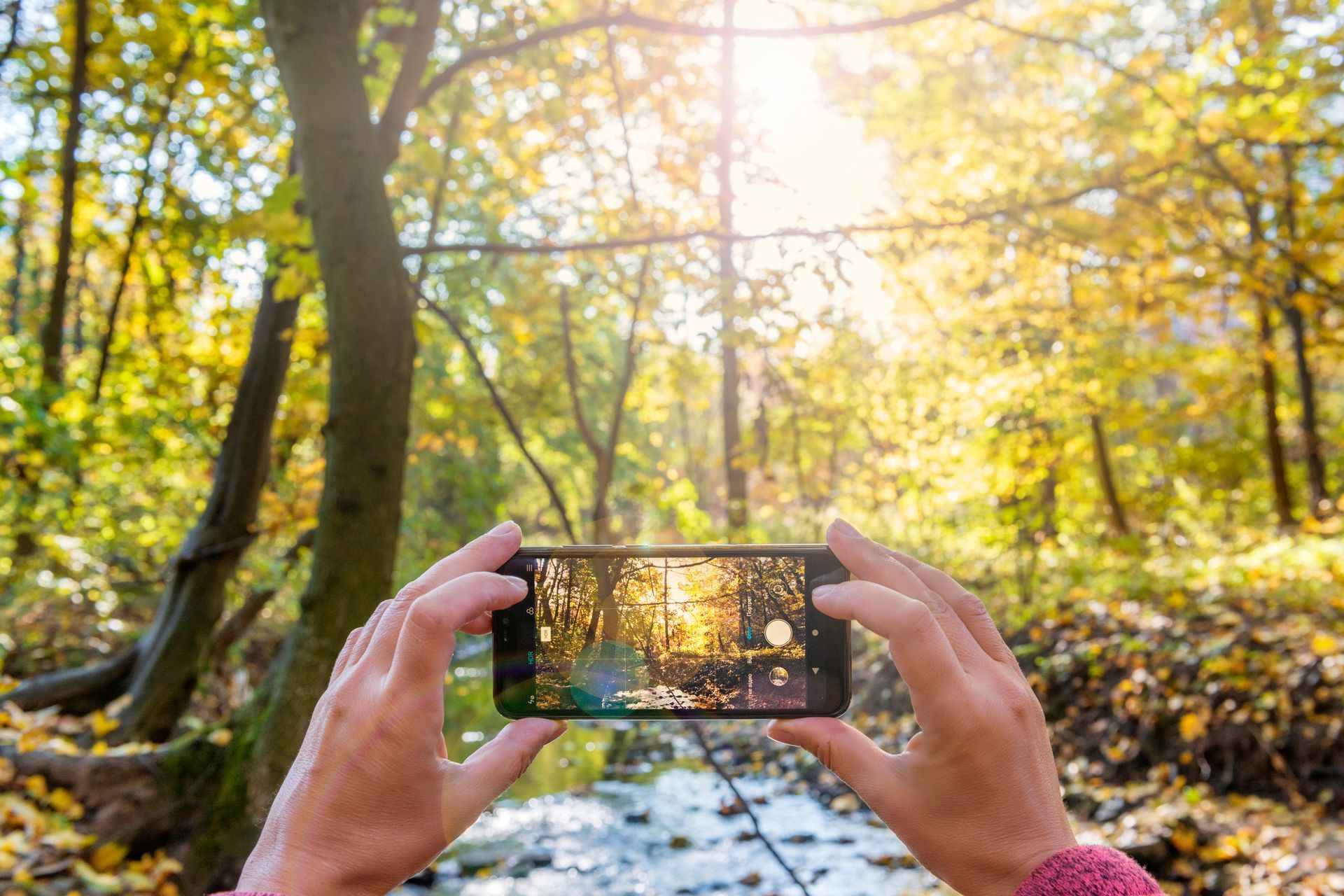 Hands holding a phone, taking a photo of a sunny forest with a stream.