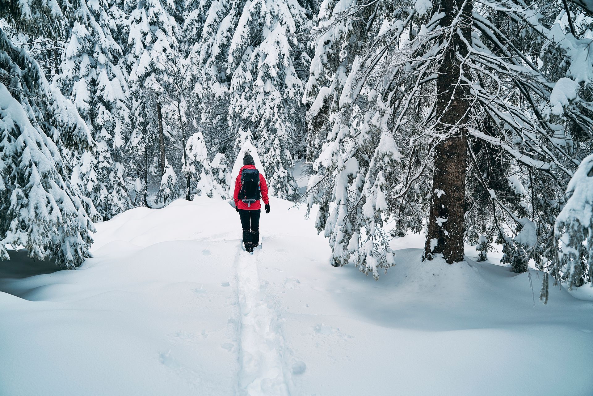 Person hiking in a snow-covered forest, wearing a red jacket and backpack.