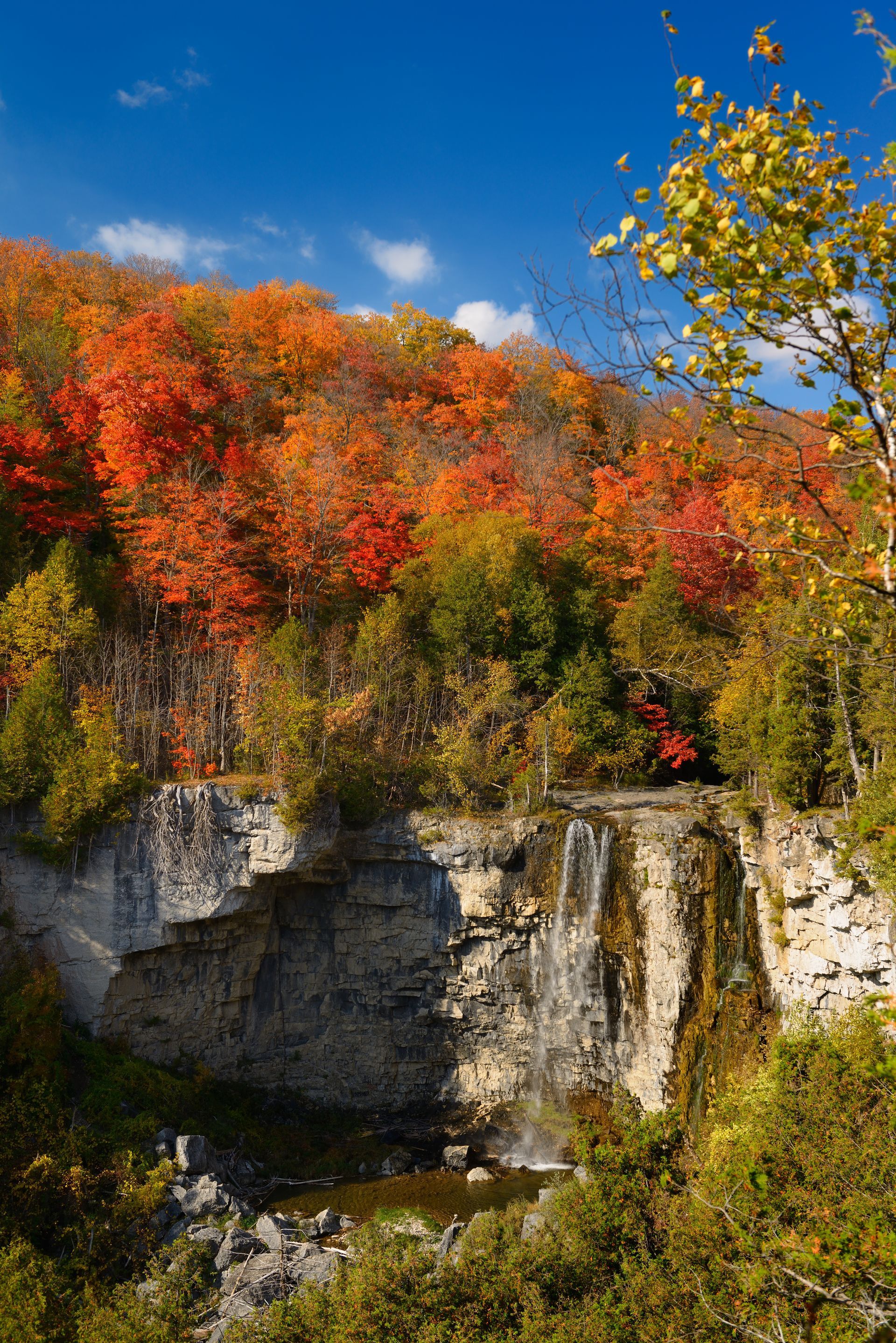 There is a waterfall in the middle of a forest surrounded by trees.