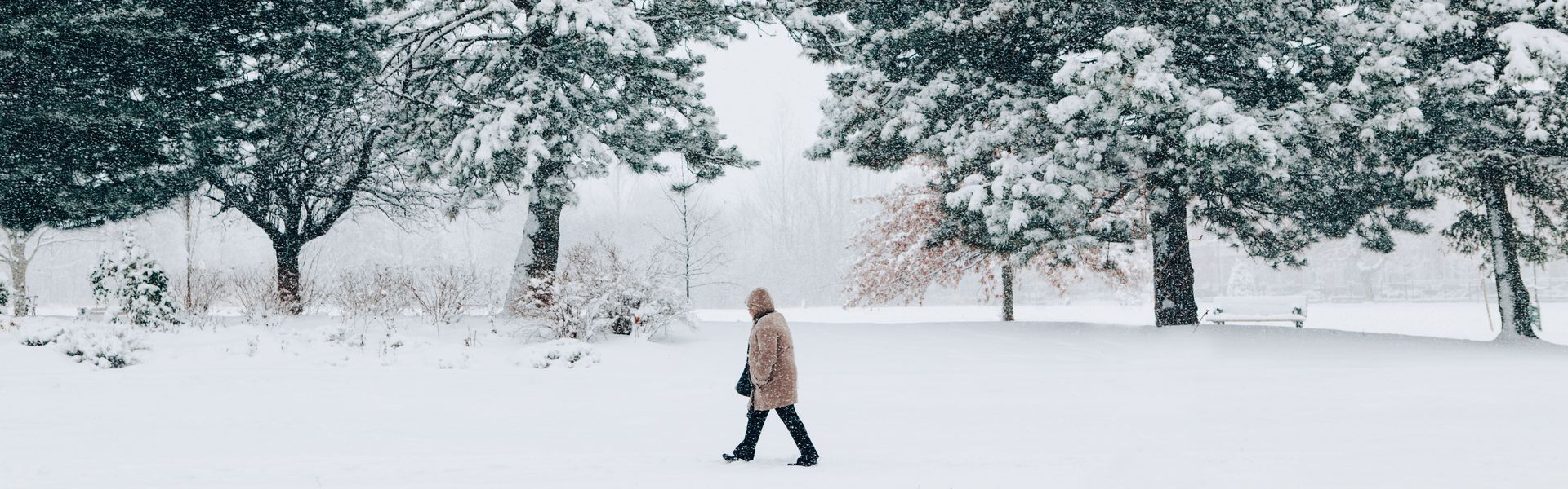 A person walks in a snowy park under snow-covered trees.