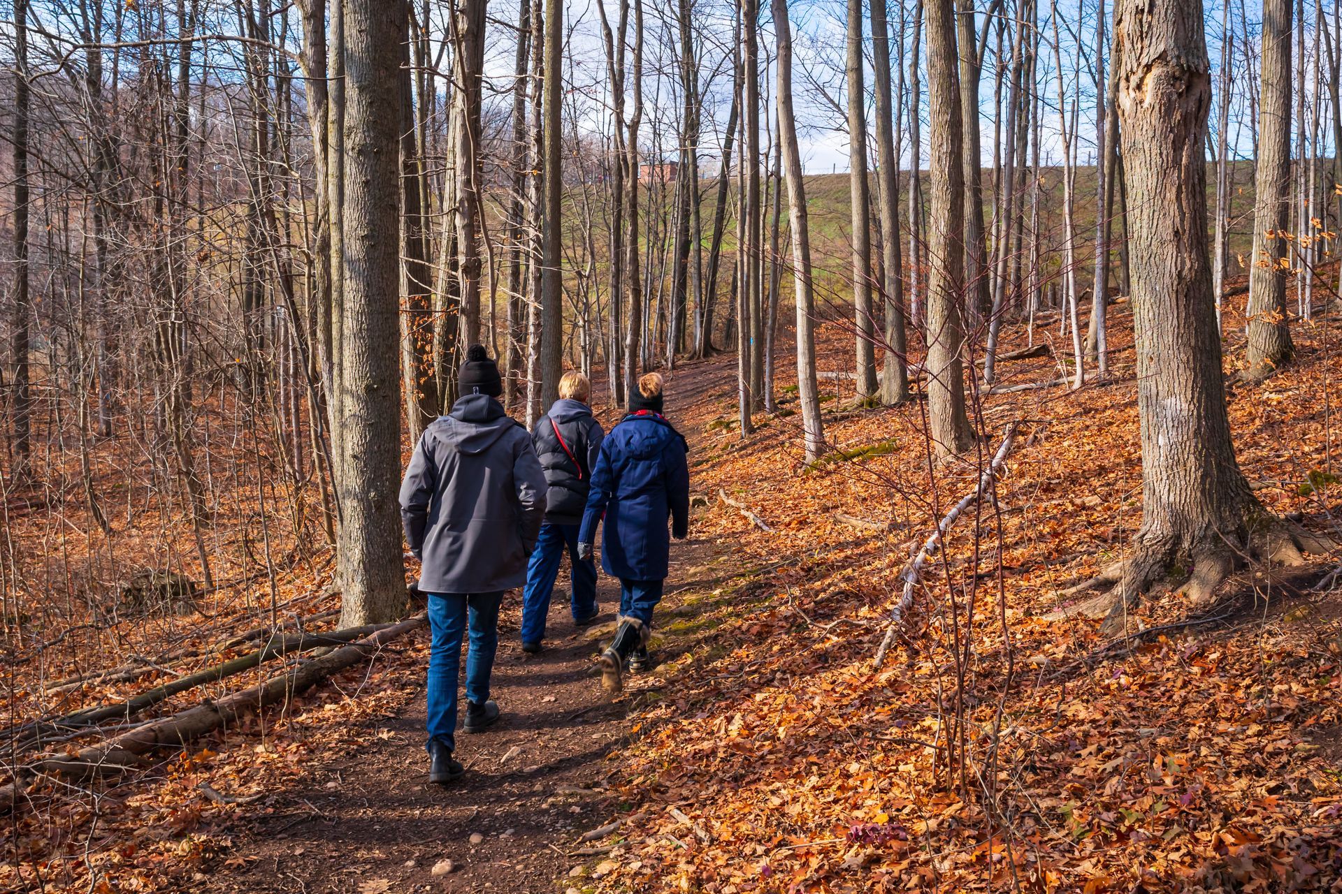 A group of people are walking down a path in the woods.