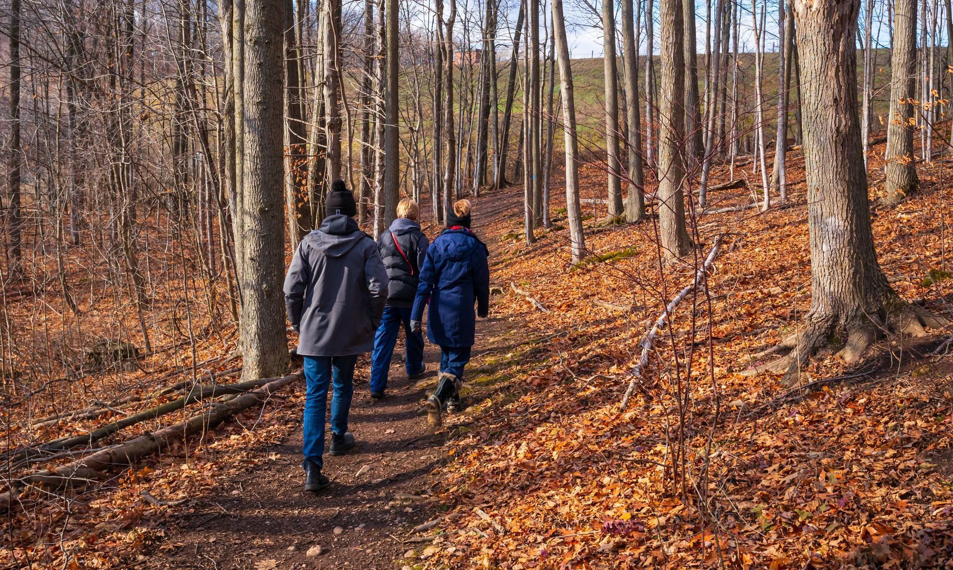 A group of people are walking down a path in the woods.