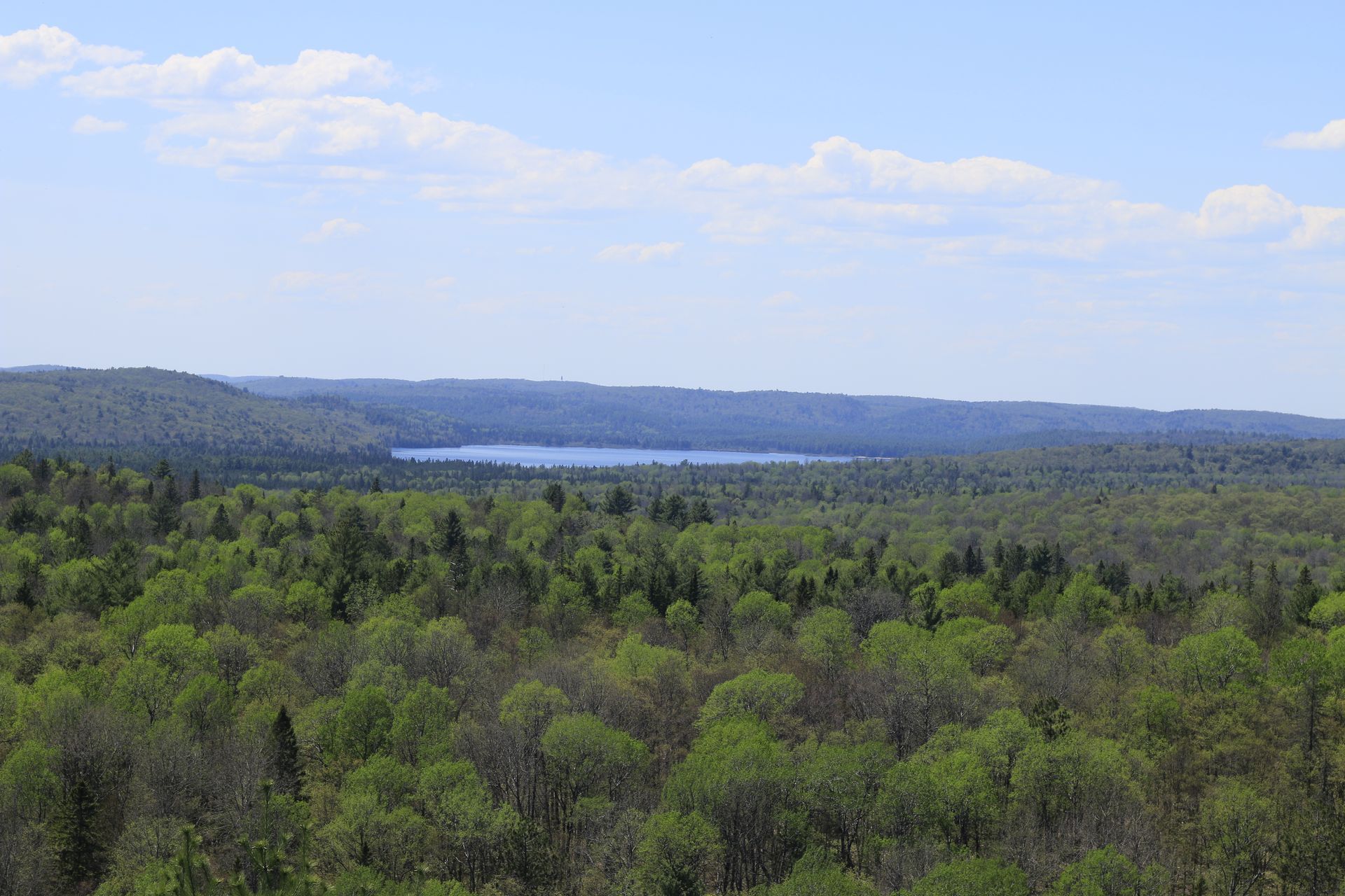 A view of a lake through a forest on a sunny day.