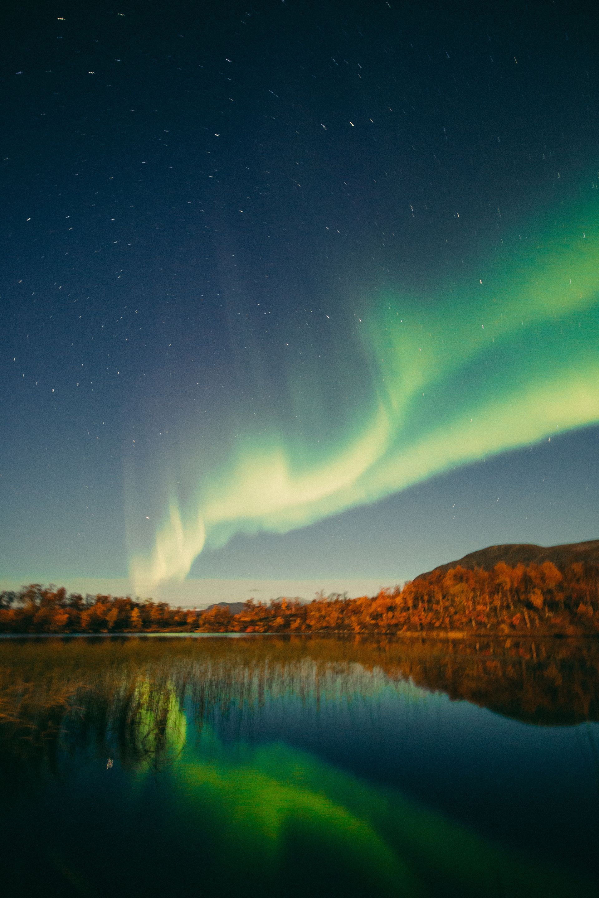 The aurora borealis is reflected in the water of a lake.