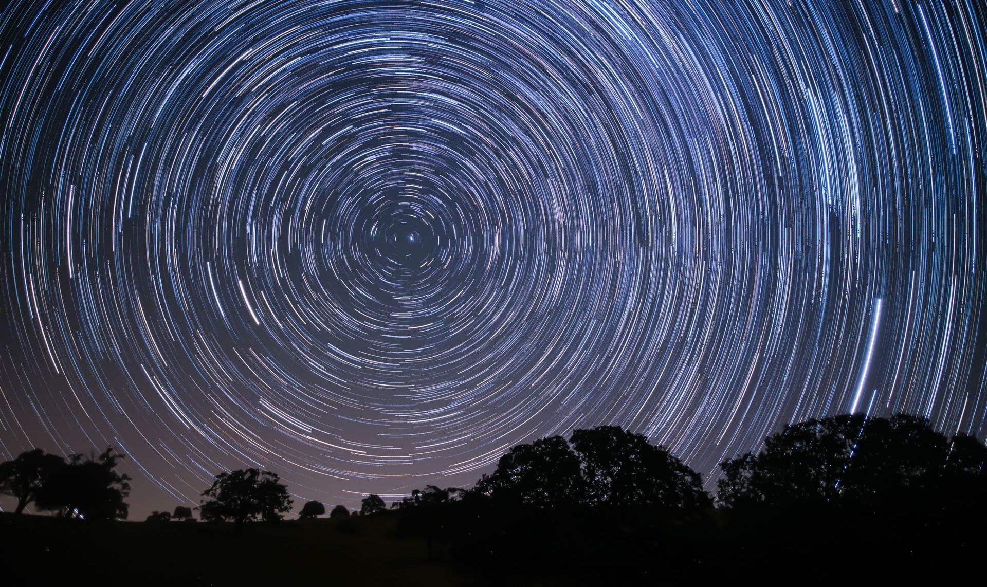 A star trail in the night sky with trees in the foreground.
