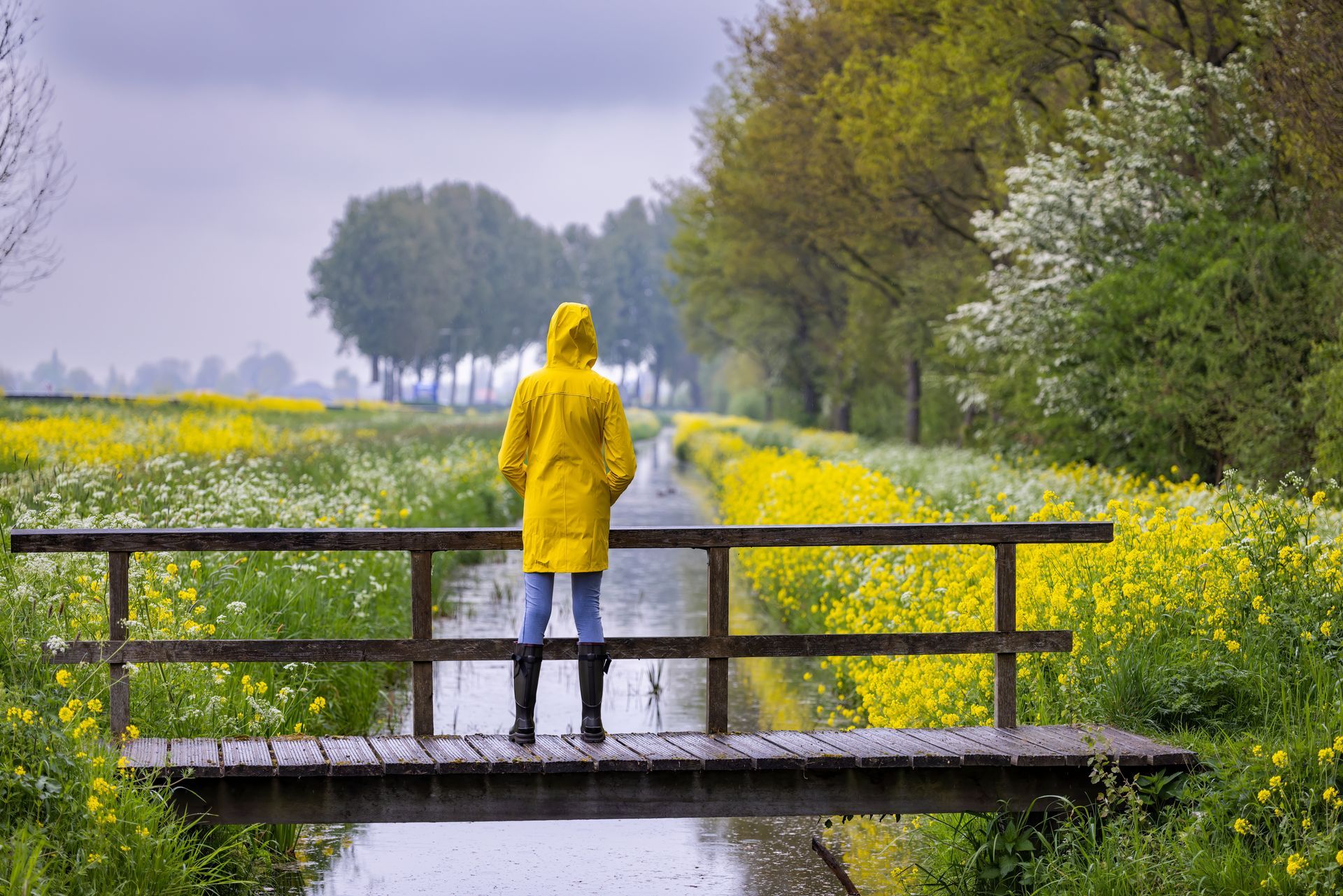 A person in a yellow raincoat is standing on a bridge over a river.