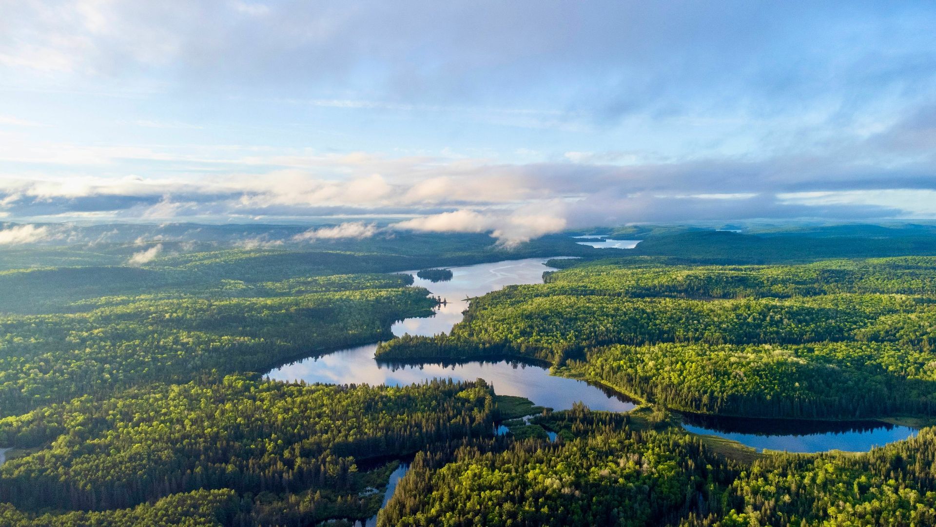 An aerial view of a lake surrounded by trees and mountains.