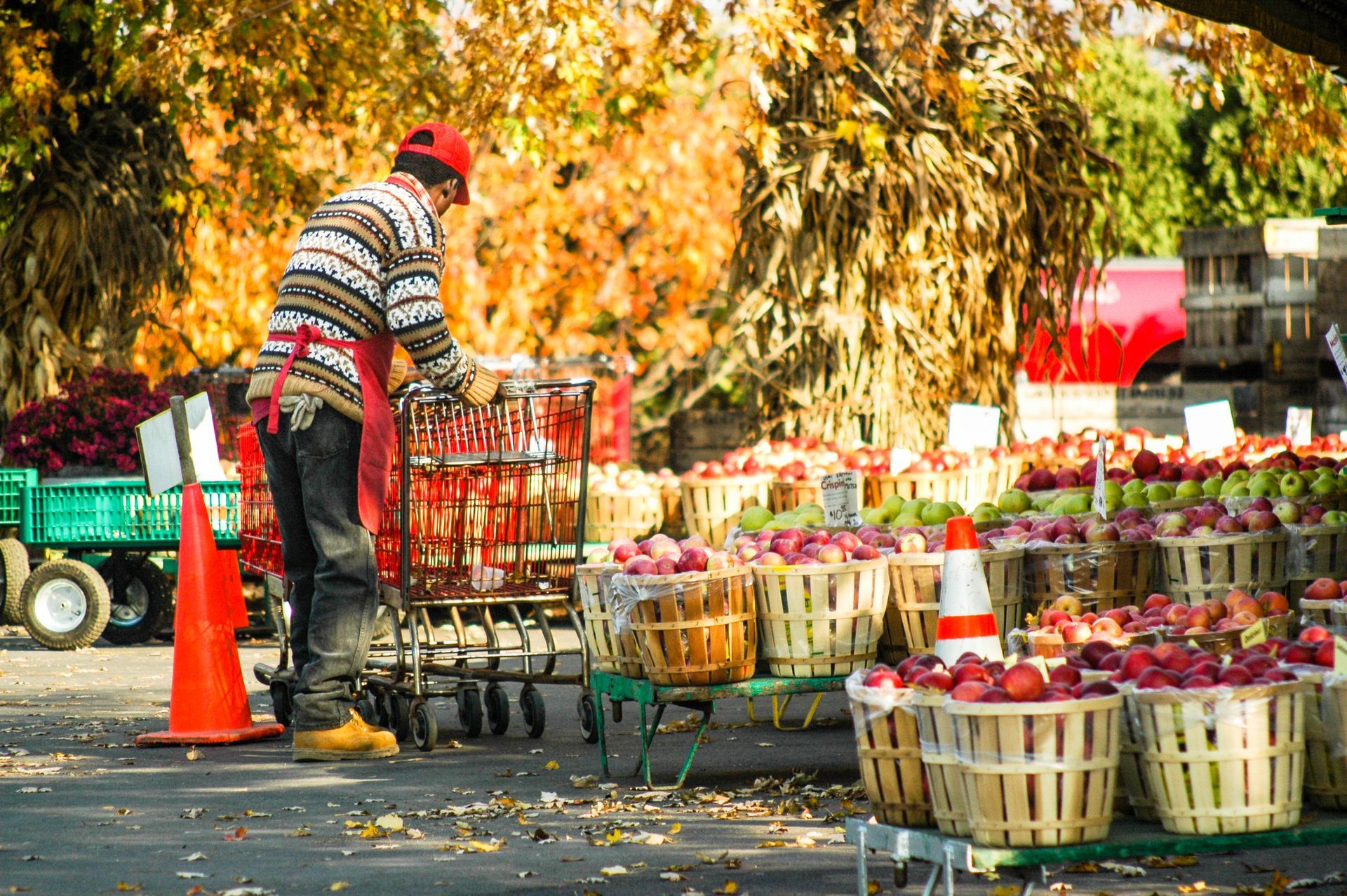 A man is pushing a cart full of baskets of apples.