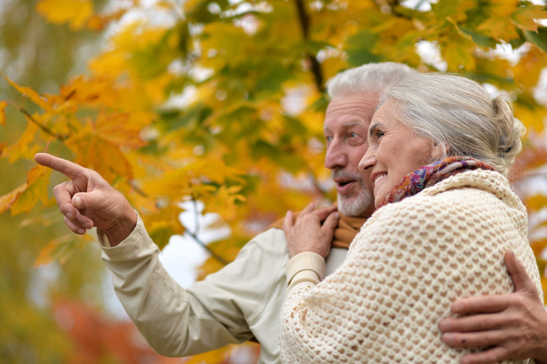 An elderly couple is hugging and pointing at a tree.