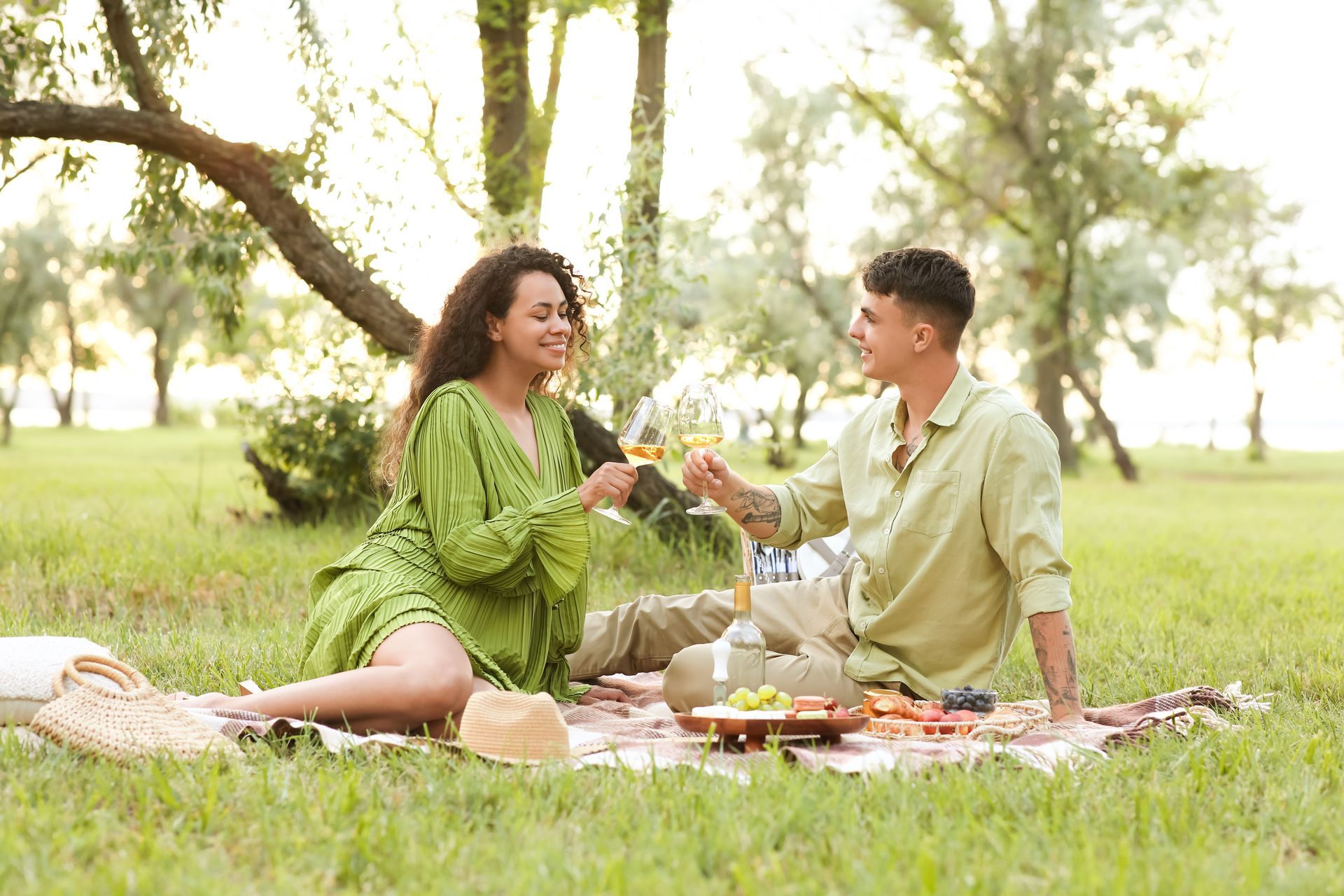 Couple toasting with wine glasses during a picnic on a blanket in a park.