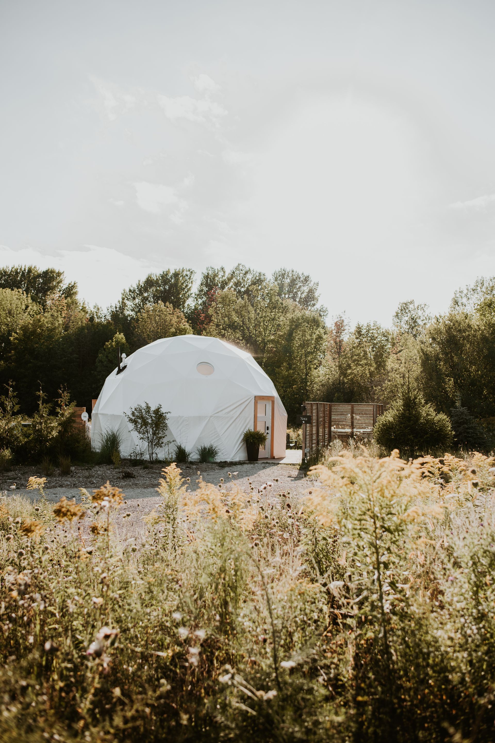 White geodesic dome with wooden door, surrounded by tall grass and trees under a sunny sky.