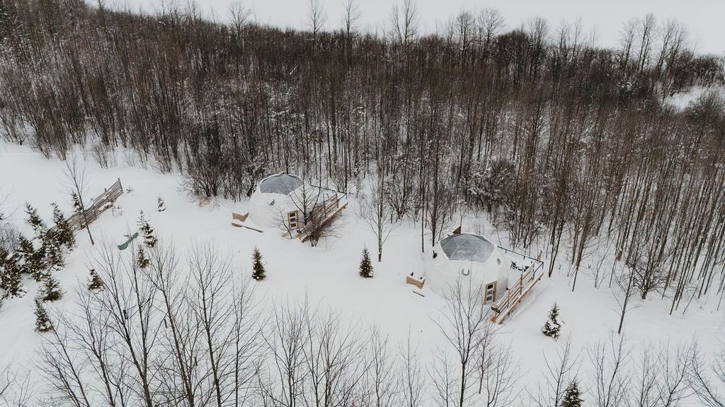An aerial view of a snowy forest with trees covered in snow.