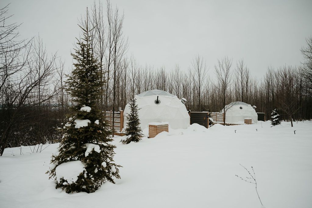 A woman is standing in a dome looking out the window.