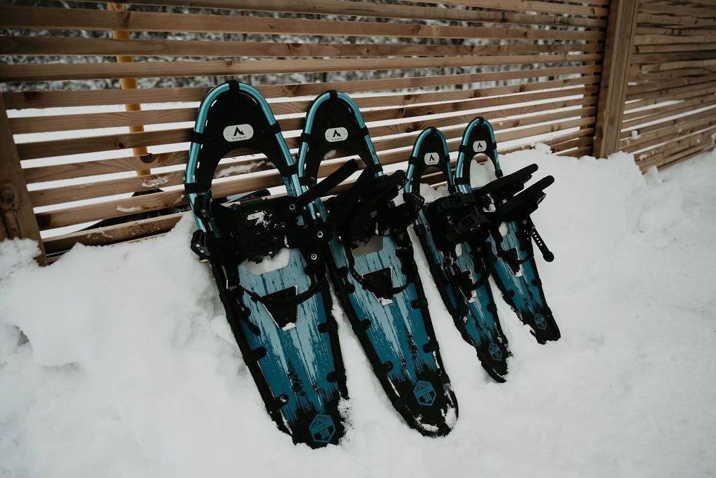A row of snowshoes are sitting in the snow in front of a wooden fence.