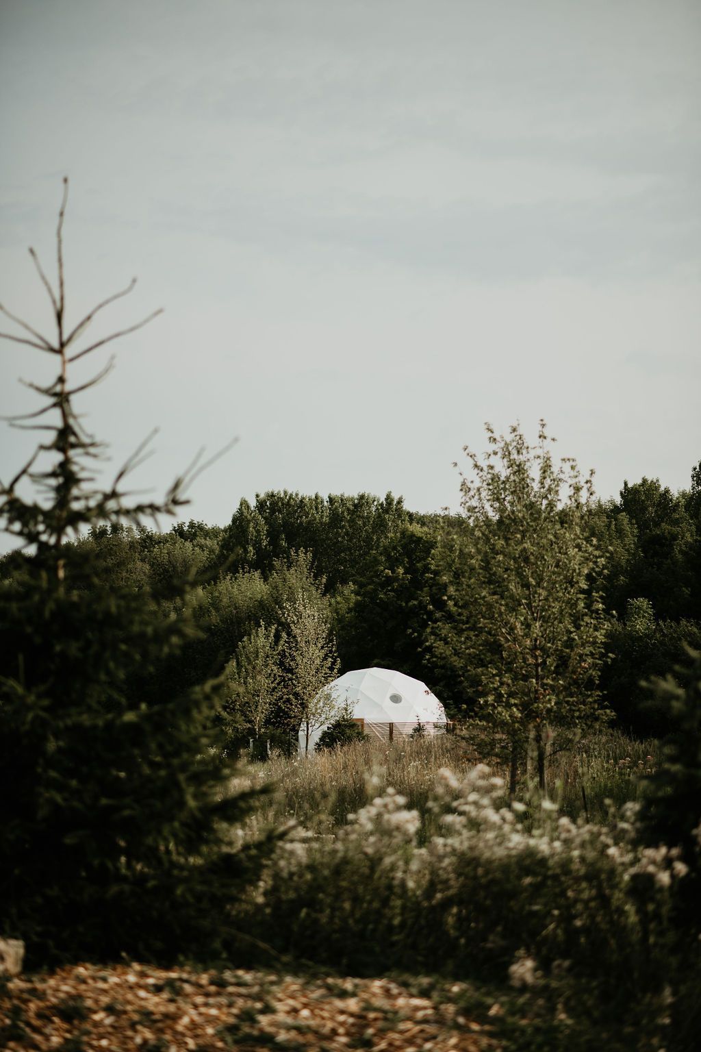 A white dome is sitting in the middle of a forest surrounded by trees.