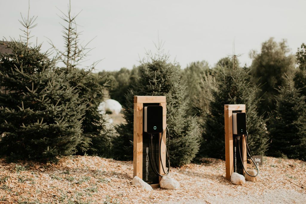 Three wooden boxes are sitting on top of a pile of dirt in a forest.