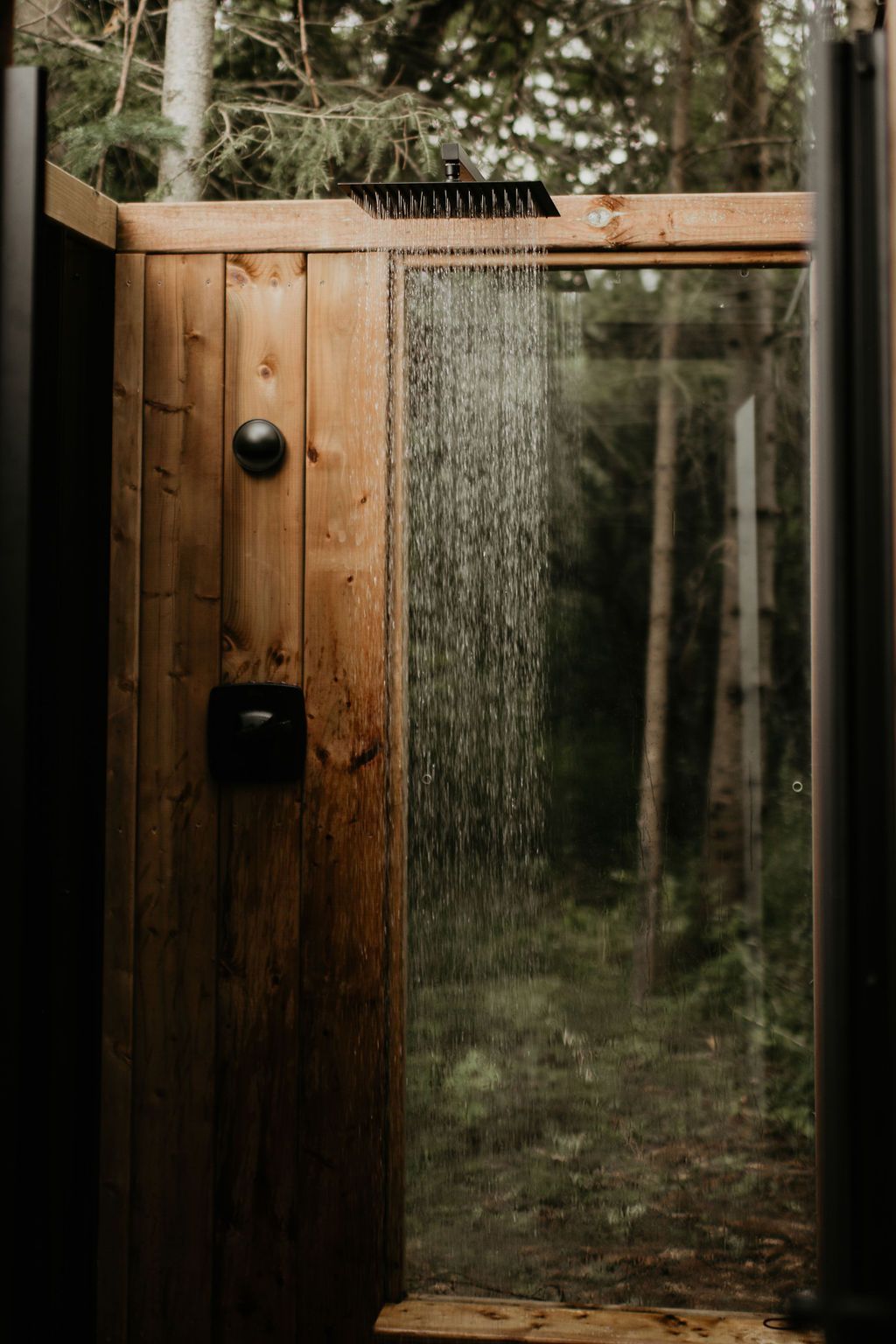 A wooden shower with a glass door in the woods.