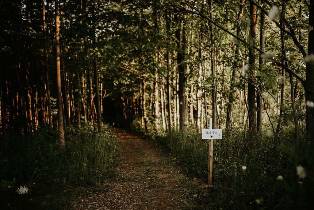A path in the woods with a sign on the side of it.