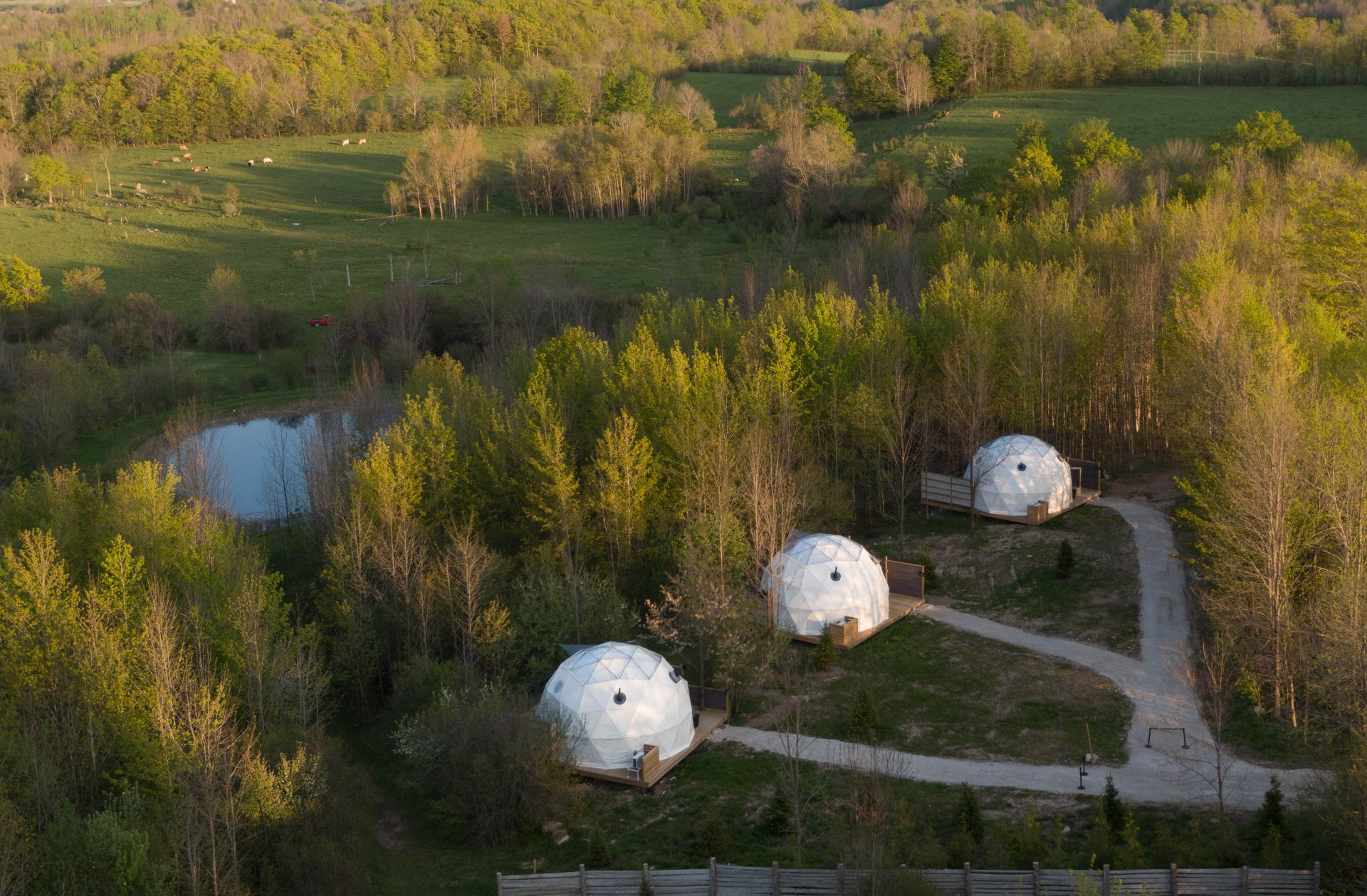 Three white geodesic domes nestled among trees on a grassy hill, with a path leading to them and a pond nearby.