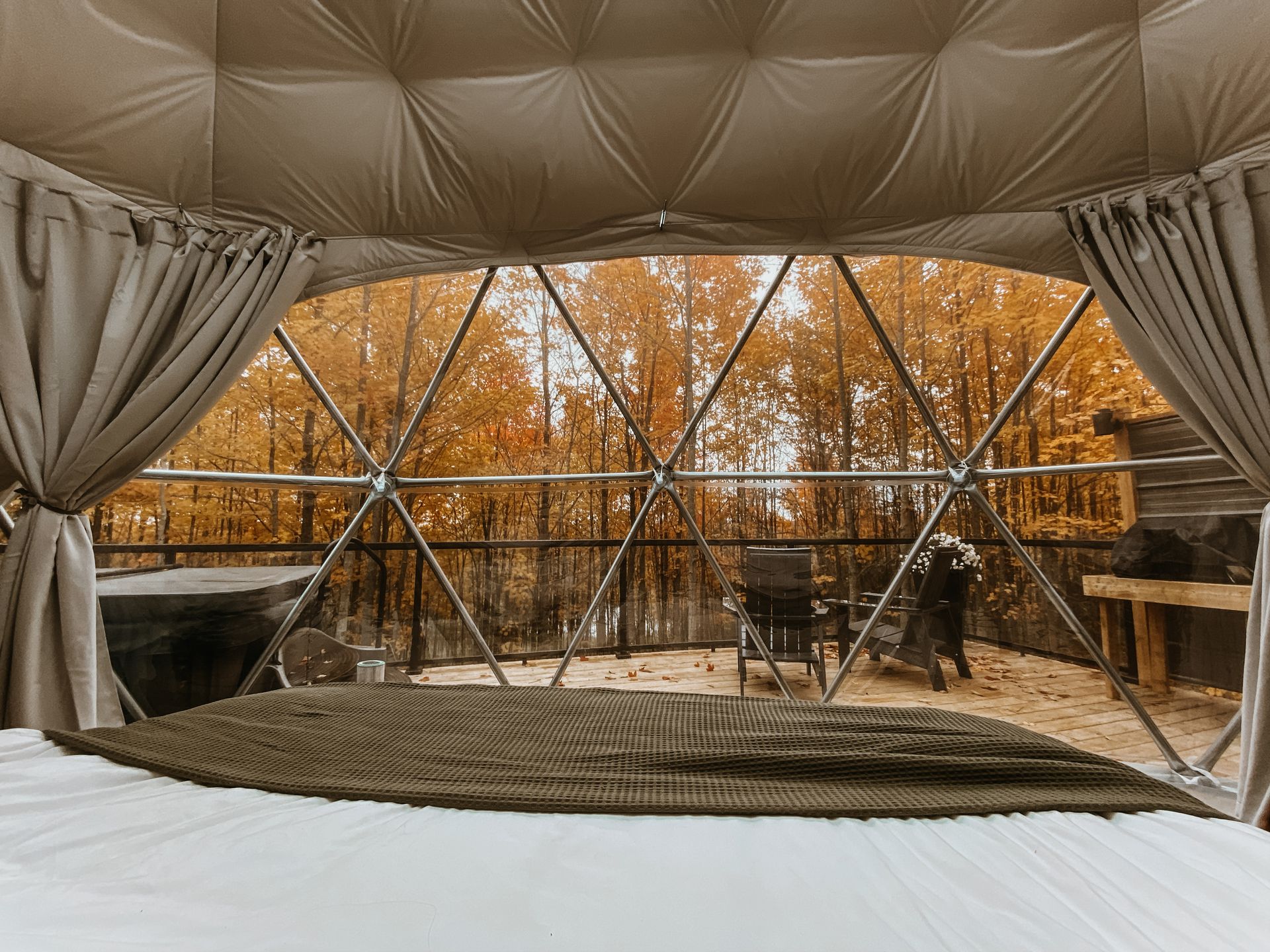 A bed in a dome with a view of the woods.