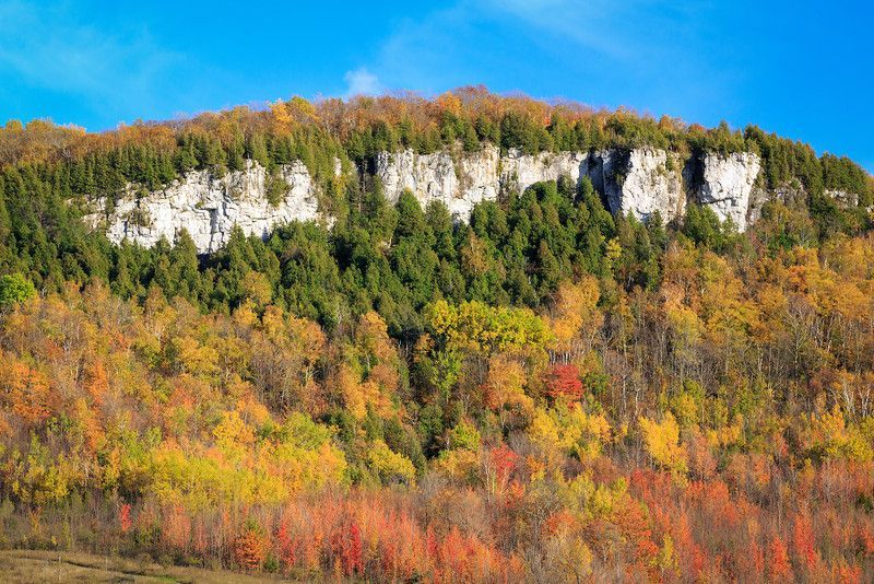 A mountain covered in trees with a blue sky in the background.
