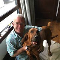 Lauren Loves Dogs  Glass Repair by Fast Glass of  Long Beach