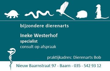 contact Ineke Westerhof