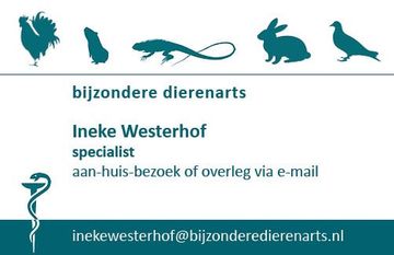 email: Ineke Westerhof