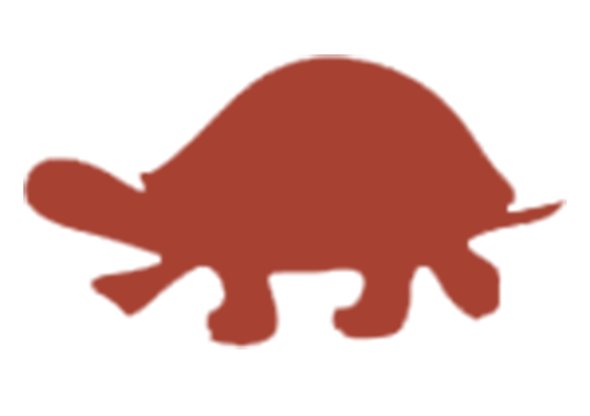 pictogram schildpad