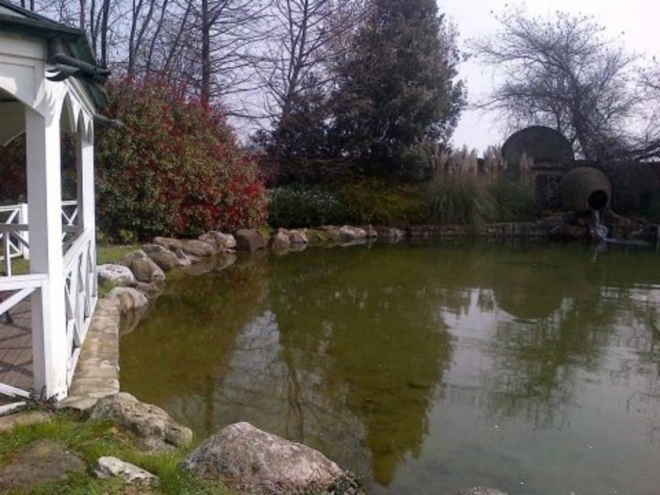 Giardino con laghetto