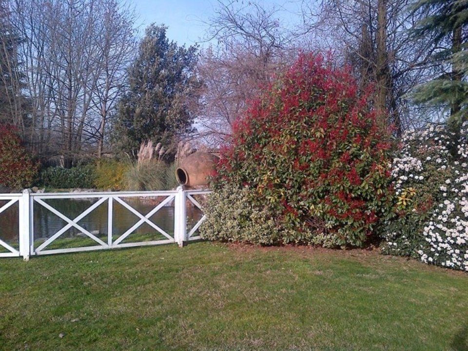 Cancello e cespuglio fiorito