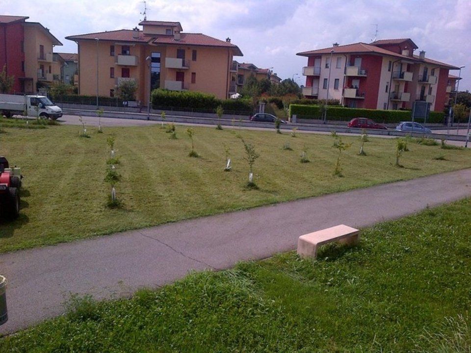 Area verde con piante