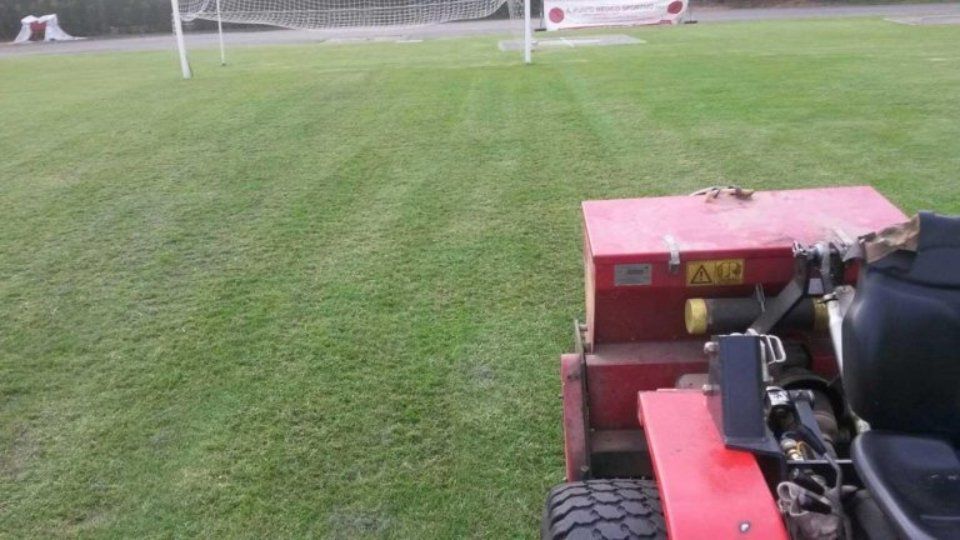 Dettaglio trattore e prato