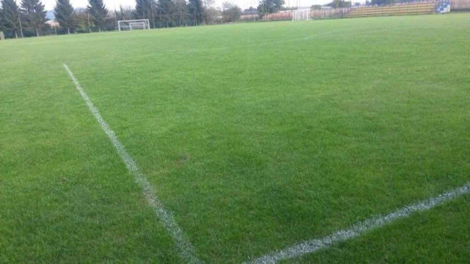 Campo con linee bianche