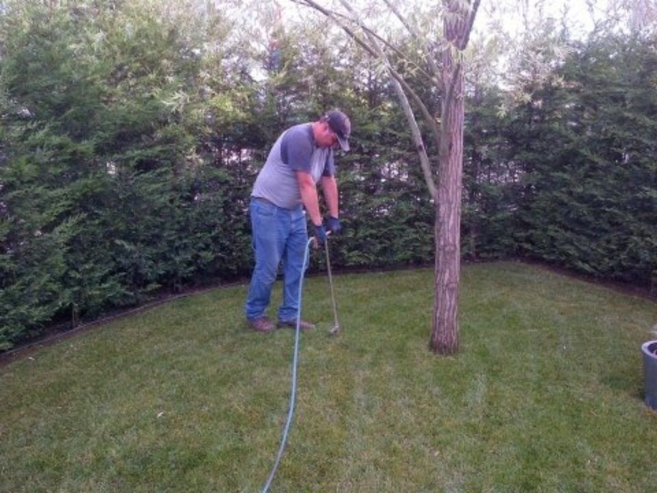 Trattamento per piante