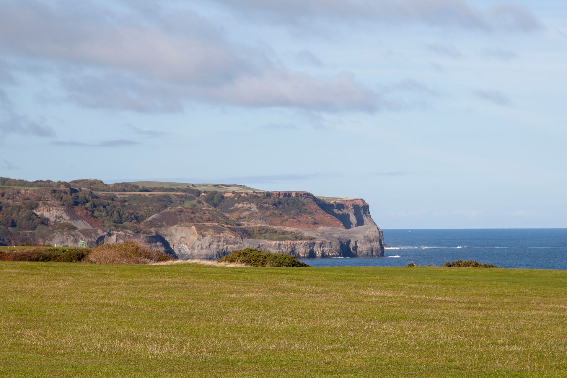 A cliff overlooking the ocean with a grassy field in the foreground