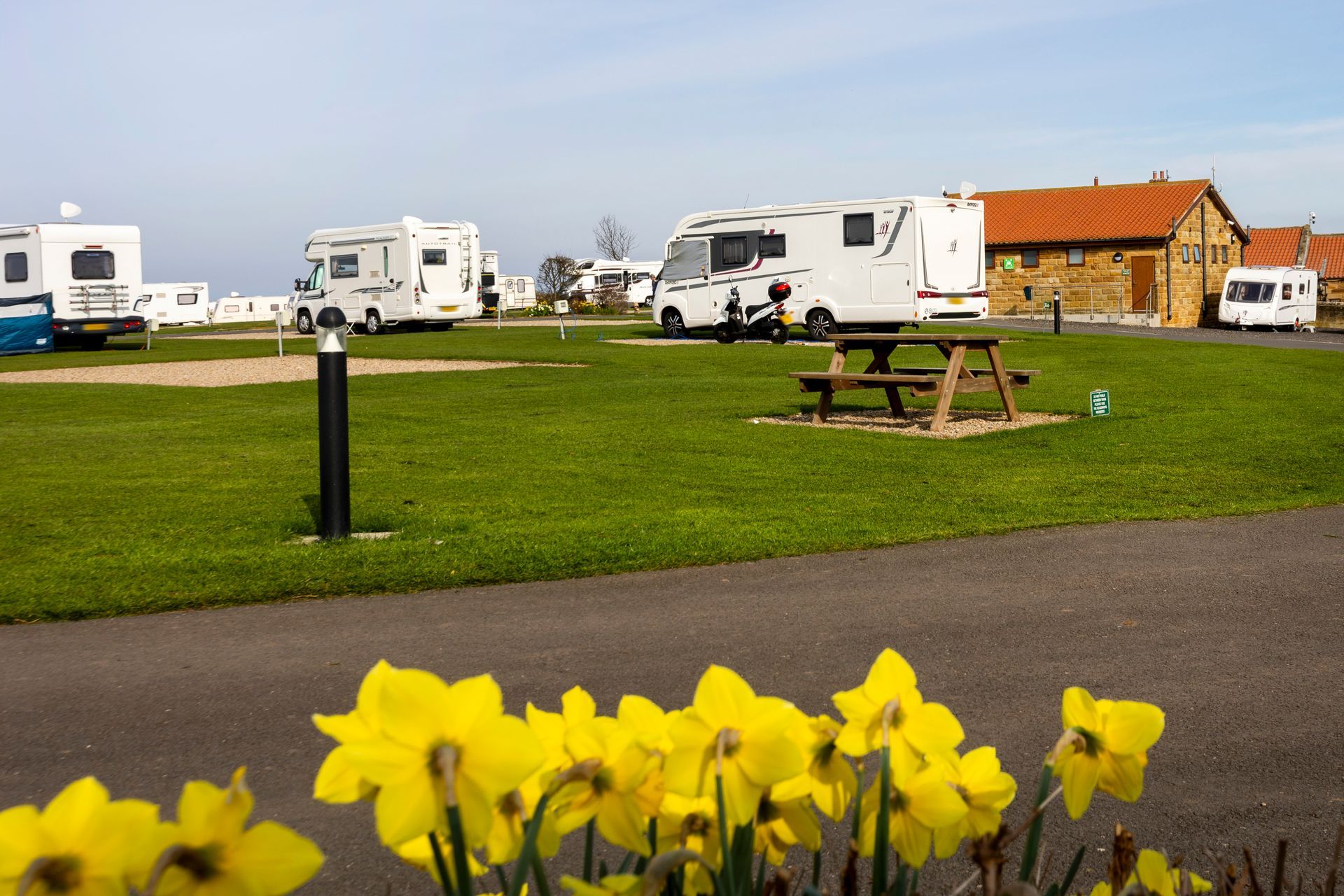 A row of rvs are parked in a grassy field with flowers in the foreground.