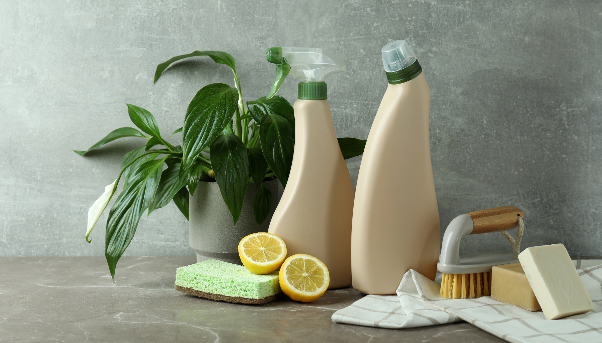 A table topped with bottles of cleaning supplies , lemons , sponges and a plant.