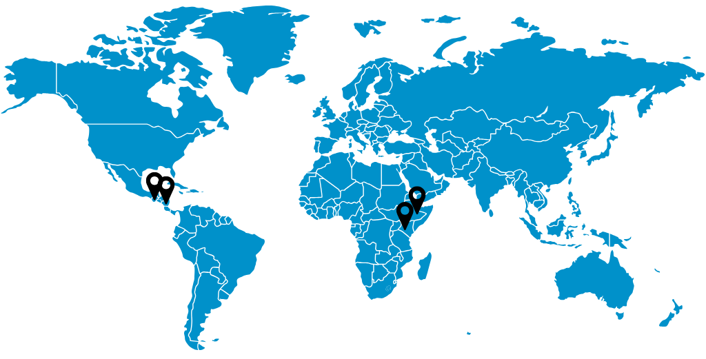 A blue map of the world with markers on Guatemala, Nicaragua, Kenya, and Ethiopia.