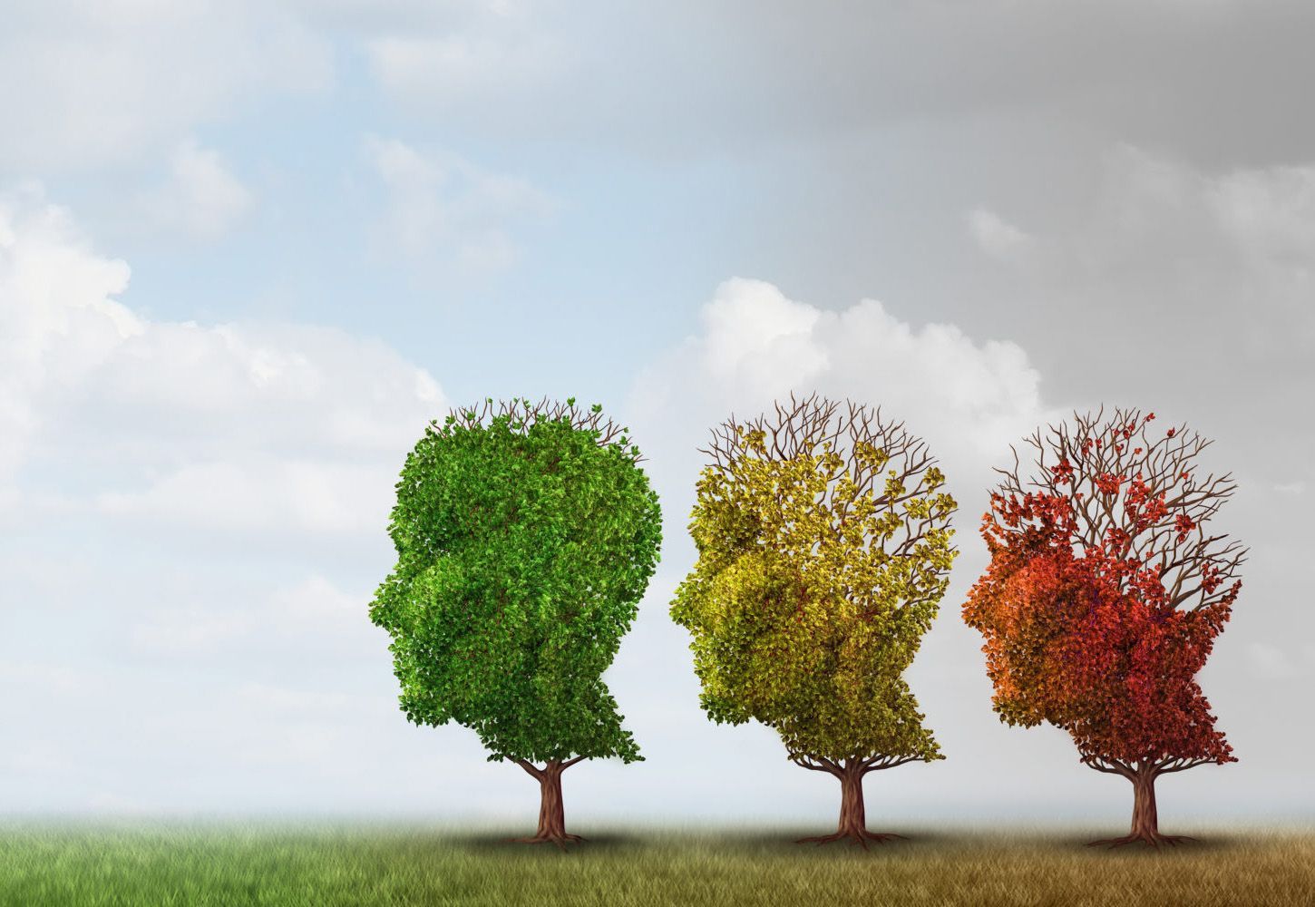 Þrjú tré í laginu eins og höfuð, sem tákna lífsstig; græn, gul og rauð lauf.