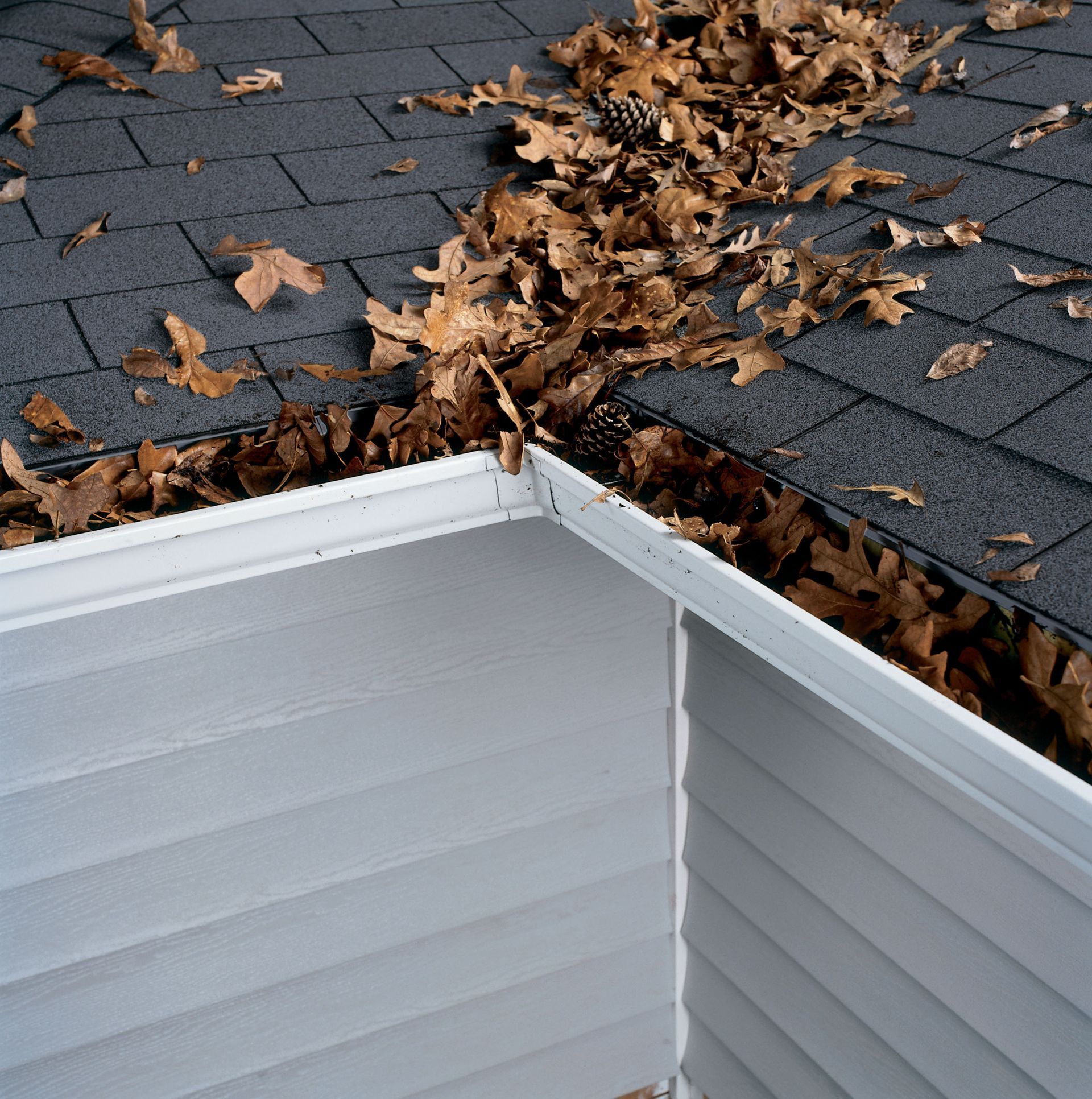 Before gutter helmet