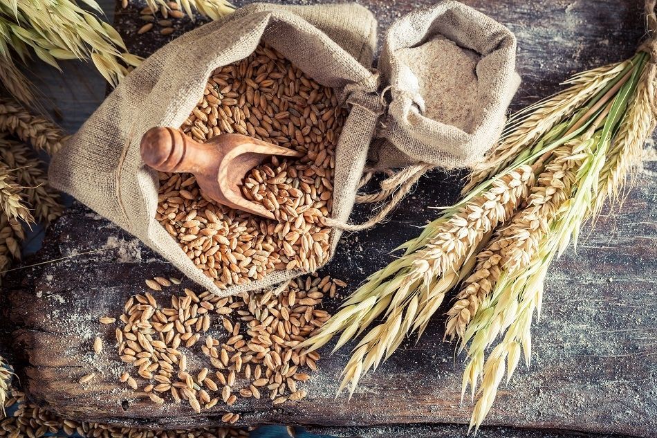A bag of wheat grains with a wooden scoop on a wooden table.