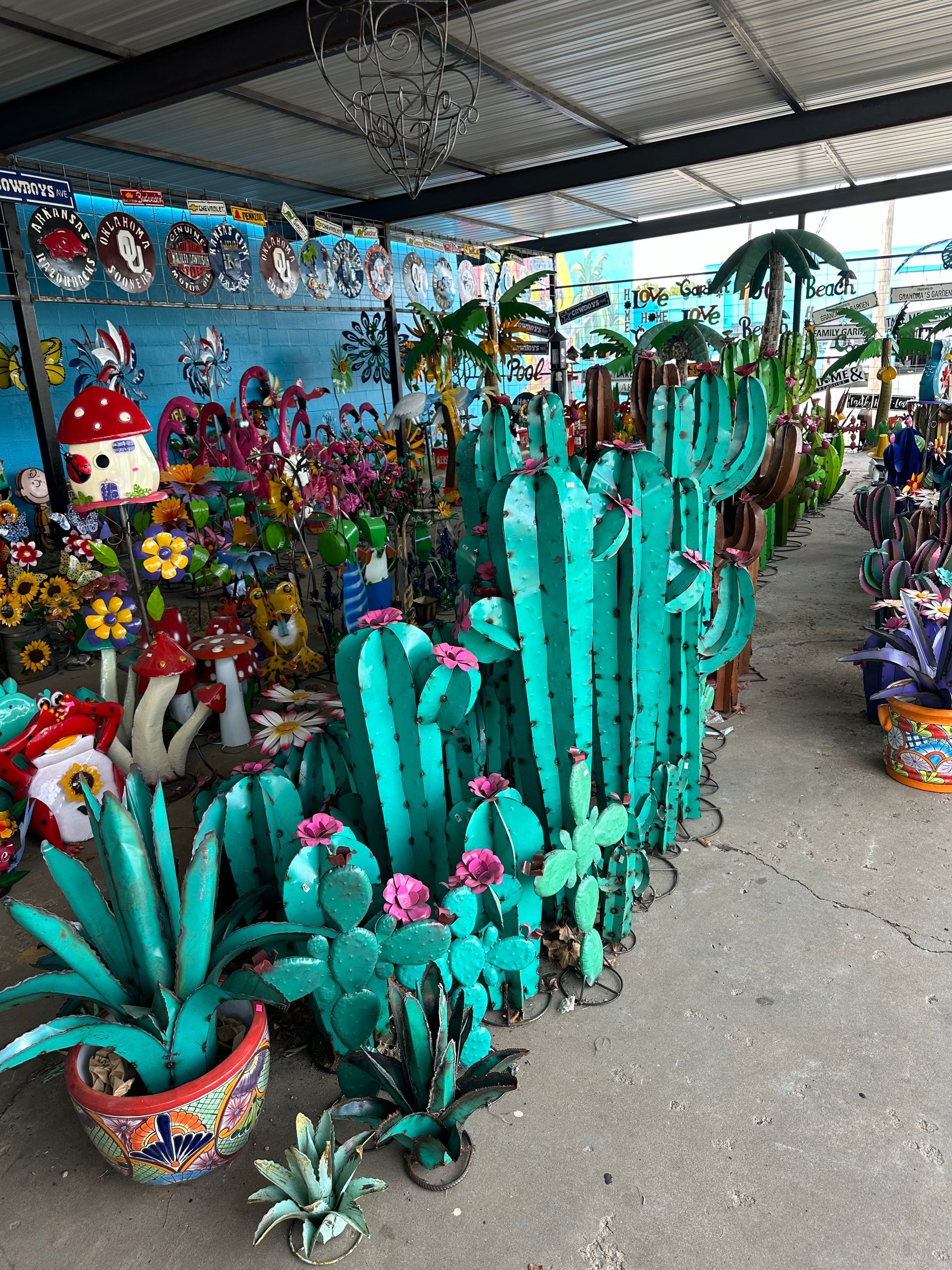 A bunch of cactus plants are lined up in a row