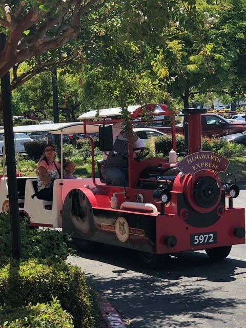 Red Train Engineer | Stockton, CA - Butterfly-Express
