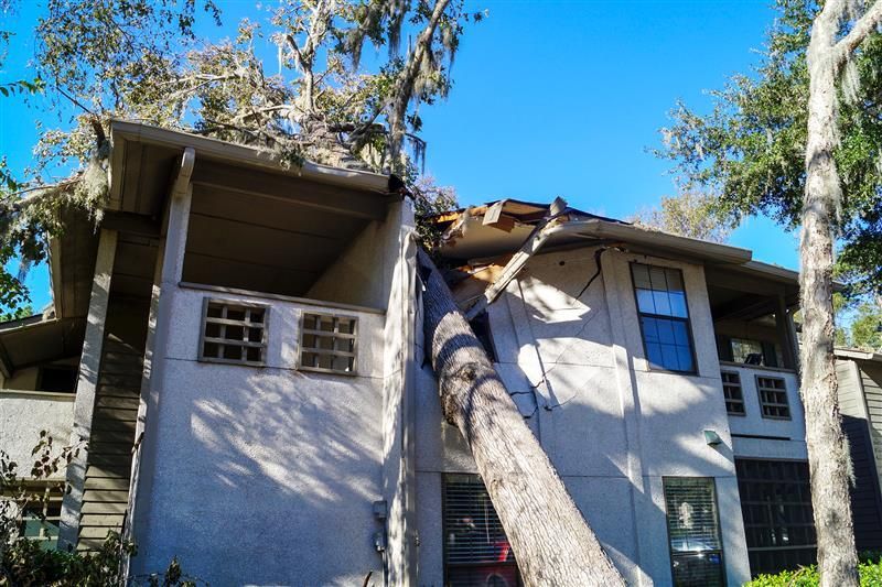 A large tree crashed through the roof of a two-story, beige building on a sunny day.