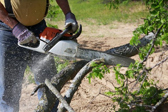 Tree cutting using chainsaw - Brainerd, MN - AOS Tree Service