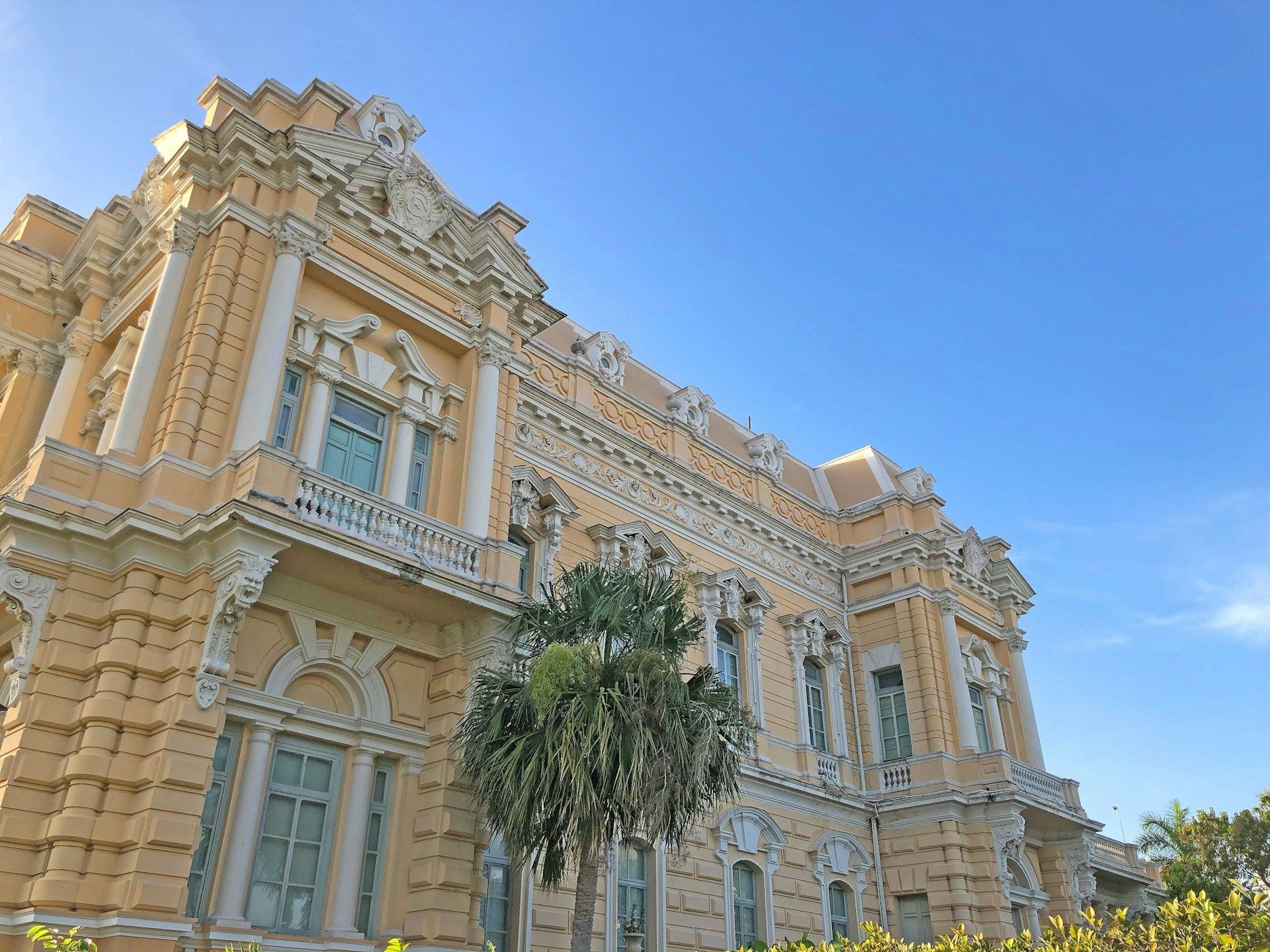 Un gran edificio con una palmera delante y un cielo azul al fondo.