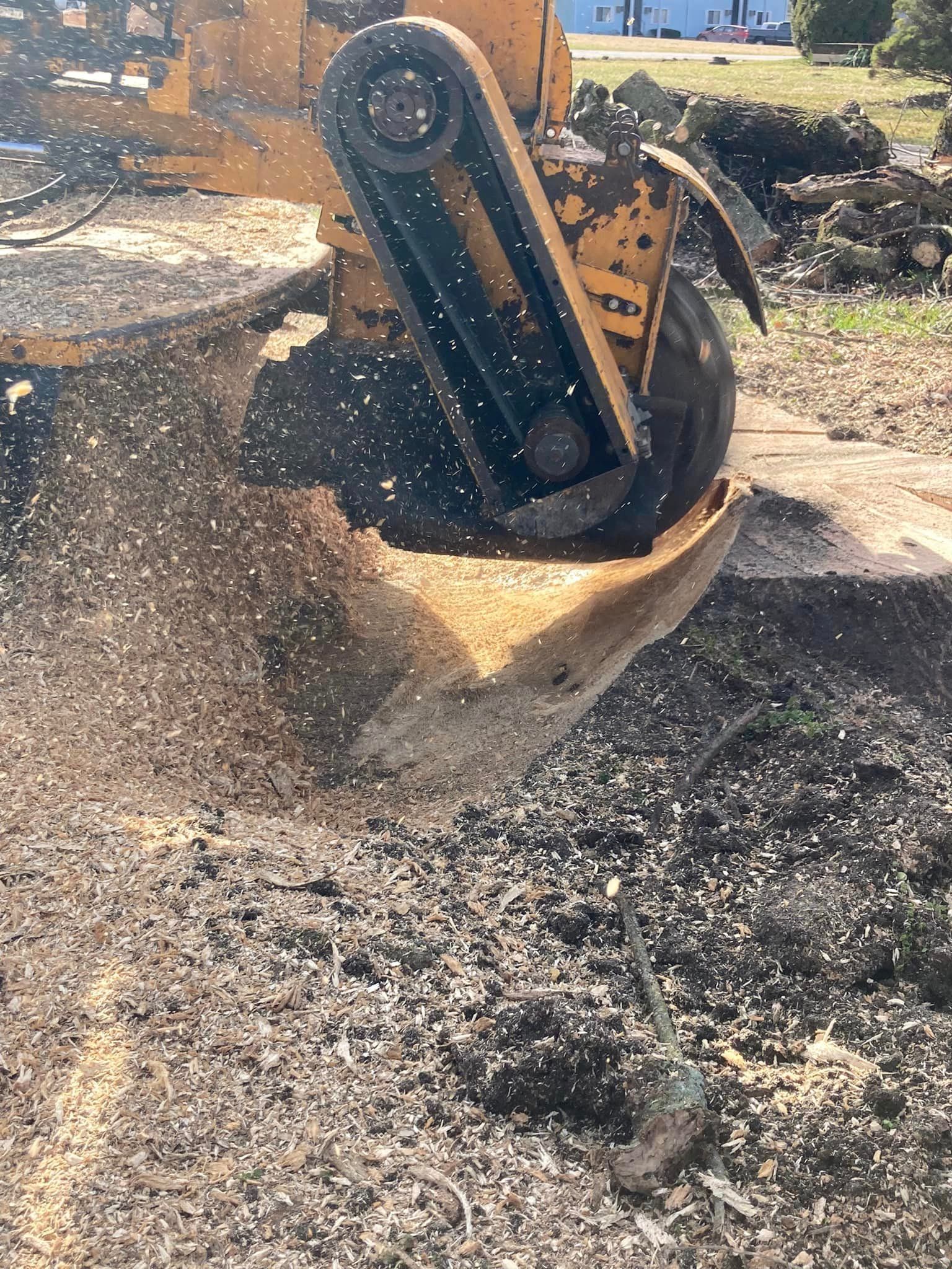 Jones Tree Service, LLC Top Rated Tree Service Jamestown, Indiana