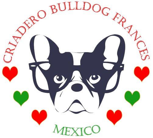 logo bulldog frances